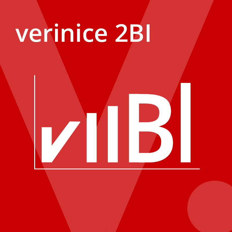 BI-Tool